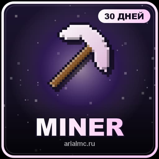 MINER (месяц)